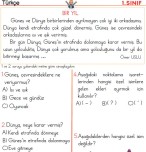 Değerlendirme 2 (Türkçe Matematik Hayat Bilgisi)