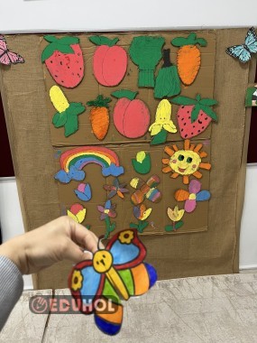 Kelebek ve kelebeğin yaşam döngüsü