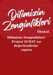 Dilimizin_zenginlikDilimizin_zenginlikleri_ şubat_ayı_raporu_ilkokulleri_ şubat_ayı_raporu_ilkokul