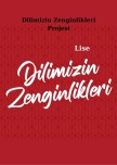 Dilimizin_zenginlikleri_ mart_ayı_raporu_lise