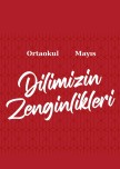 Dilimizin_zenginlikleri_ mayıs_ayı_raporu_ortaokul