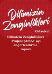 Dilimizin_zenginlikleri_ şubat_ayı_raporu_ortaokul