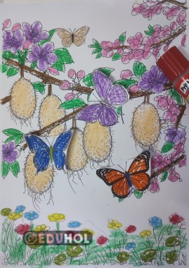 🦋 Baharın Renkli Kelebekleri