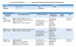 Türkçe Bireyselleştirilmiş Eğitim Programı BEP Örneği