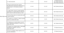 Dilimizin zenginlikleri projesi ilkokul eylem planı
