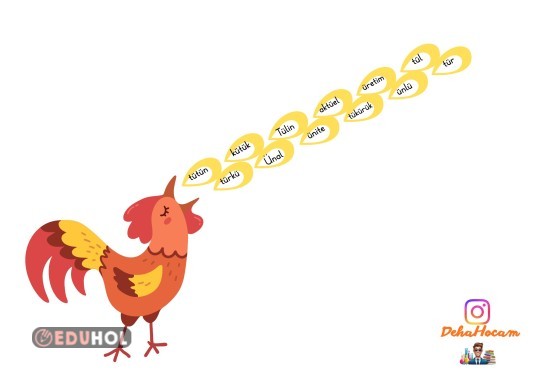 Ü SESİ HOROZ MATERYALİ