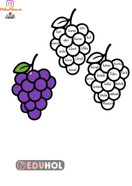 Ü SESİ ÜZÜM MATERYALİ