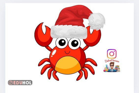 Y SESİ YENGEÇ(eduhole özel)