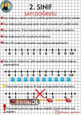 SAYI DOĞRUSU KONU ANLATIMI VE ETKİNLİĞİ