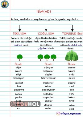 TEKİL-ÇOĞUL-TOPLULUK ADLARI