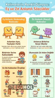 2. Sınıf Türkçe Eş ve Zıt Anlamlı Kelimeler İnfografik Döküman