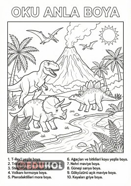 Oku Anla Boya Çalışması - 2