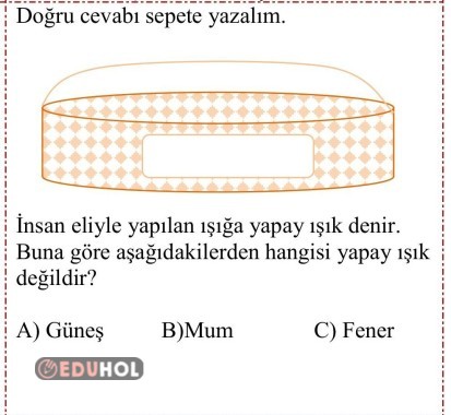3. Sınıf Fen Soru Sepeti