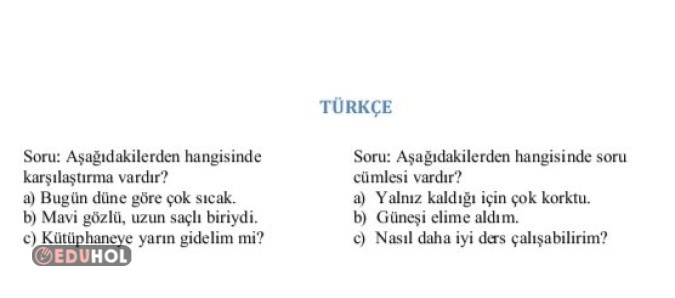 3. Sınıf Türkçe Test