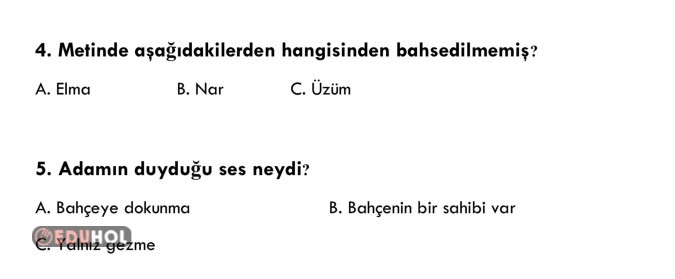 Okuduğunu Anlama Etkinlikleri