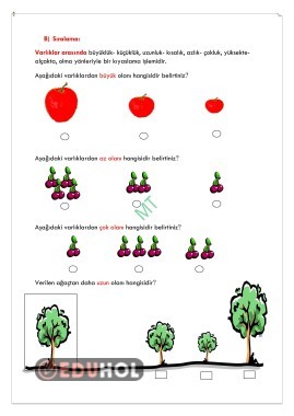 Varlıklar Arasında İlişki