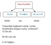 3. Sınıf Türkçe Test