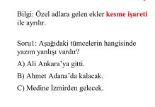Türkçe Dil Test