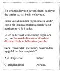 4. Sınıf Türkçe Test 2