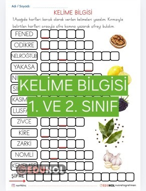 KELİME BİLGİSİ - BİTKİLER