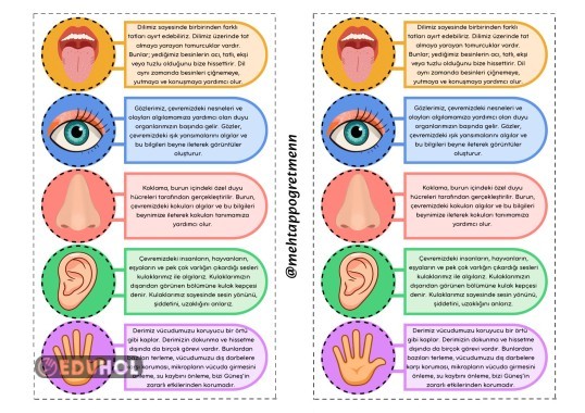 BEŞ DUYU ORGANLARIMIZ 🌼