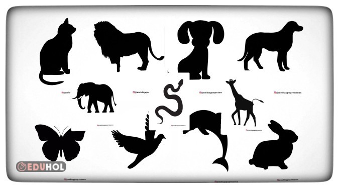 HAYVAN SİLÜETLERİ 🌼