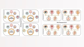 BEŞ DUYU ORGANLARIMIZ 🌼