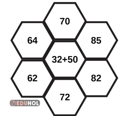 ZİHİNDEN TOPLAMA BAL PETEĞİ