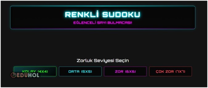 RENKLİ SUDOKU