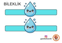 Su Verimliliği Bileklik Renkli
