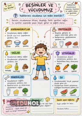 4.Sınıf Besinler Defter Notu