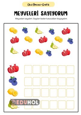 Dikkat çalışması