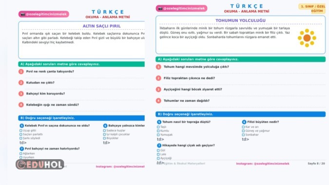1. Sınıf Okuma Anlama Etkinliği