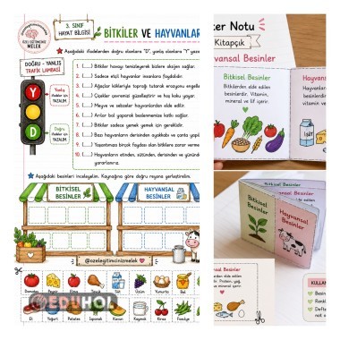 🌿 3. Sınıf Bitkisel ve Hayvansal Besinler | Katlanabilir İnteraktif Defter & Çalışma Sayfası