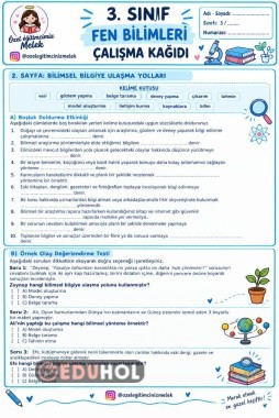 3. Sınıf Fen Bilimleri – Bilime Ulaşma Yolları Çalışma Kağıdı