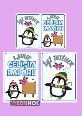 GELİŞİM RAPORU KAPAĞI 2