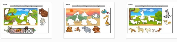 2. SINIF GÖRSEL SANATLAR HAYVAN DETAYLARINI ÇİZME