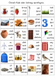 Ç sesi Görsel ile Kelime Eşleştirme Çalışması