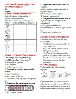 Canlı ve cansız varlıklar çalışma kağıdı
