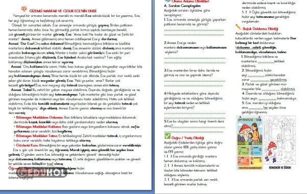 Fen bilimleri maddelerin tehlikeleri konusu okuma anlama metni