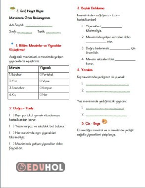 Hayat Bilgisi mevsimine göre beslenme çalışma kağıdı