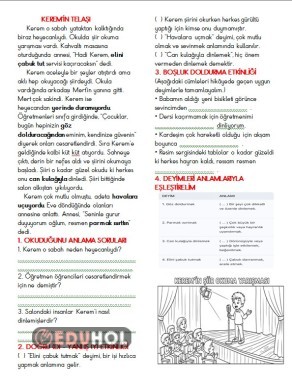 Okuma anlama metni ve deyimler etkinliği