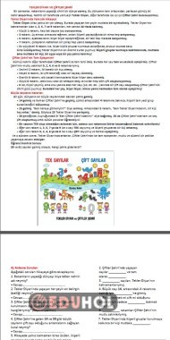 Tek ve Çift sayılar okuma anlama çalışması