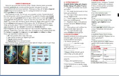 3.sınıf Fen Bilimleri Hareket konusu okuma anlama metni