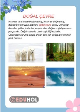 3. Sınıf Doğal Çevre ve Yapay Çevre Defter Notu