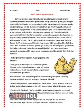 3.sınıf 5N1K Etkinlik Kağıdı
