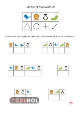 Dikkat ve hız etkinligi