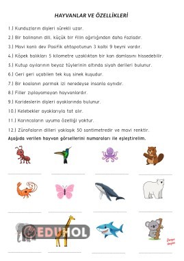 Hayvanlar ve özellikleri okuma ve eşleştirme