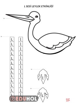 L sesi leylek etkinligi