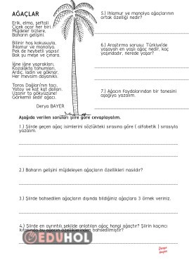 Okuduğunu anlama şiir AĞAÇLAR
